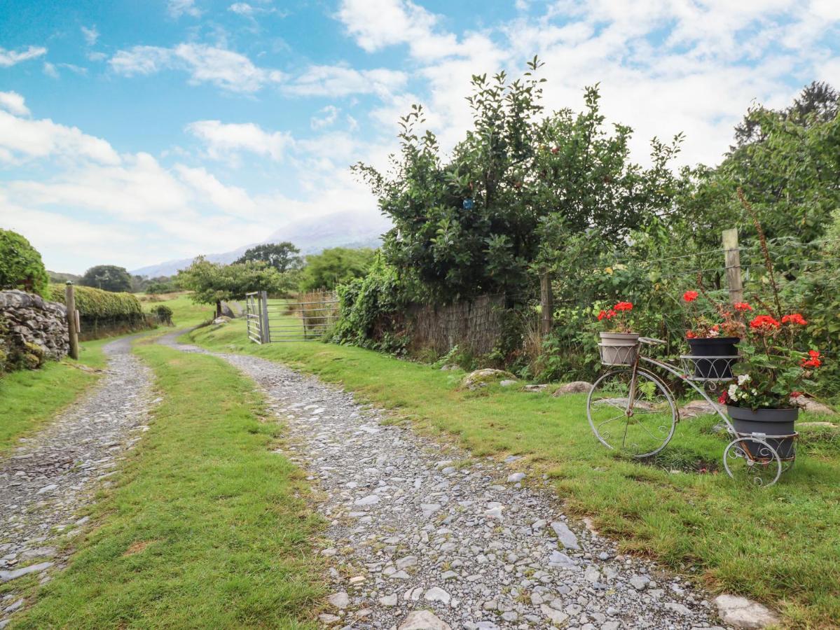 Cwm Caeth Cottage Caernarfon Buitenkant foto